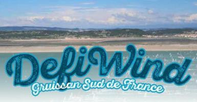 Your Guide to DEFI WIND 2017