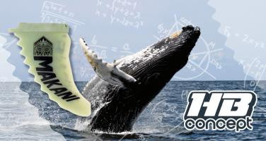 The HB concept (english)